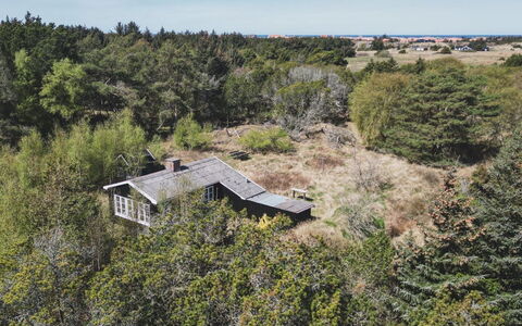 Inan - 800M from the Sea: Vegetación, Arbusto, Planta De La Comunidad, Casa, Cabaña, Área Rural, Inmuebles, Shrubland, Casa De Campo