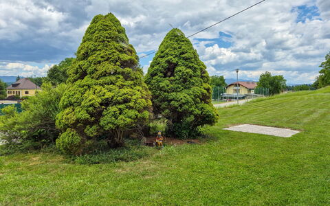 Haus Valentin: Hoja, Arbusto, Jardín, Cobertura Del Suelo, Plantas Leñosas, Paisajismo, Césped, Jardín Botánico, Hojas Perennes