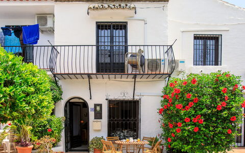 Carmen: Maceta, Puerta, Balcón, Planta De Casa, Hacienda, Patio