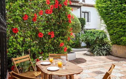 Carmen: Flor, Arbusto, Maceta, Jardín, Planta De Casa, Patio, Silla, Yarda, Sombra
