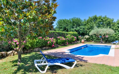 Quietud: Azul, Piscina, Arbusto, Jardín, Recurso, Ocio, Paisajismo, Sombra, Eco Hotel