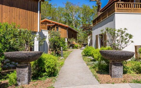 Lacanau 679: Arbusto, Jardín, Primavera, Paisajismo, Cabaña, Patio Interior, Sombra, Inmuebles, Yarda