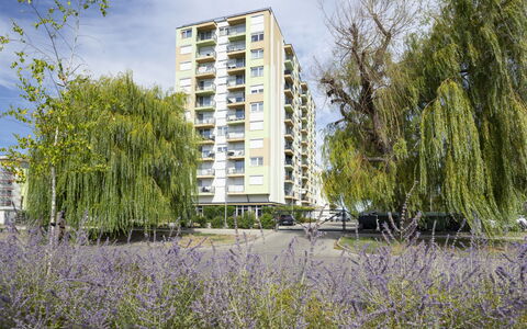 Silver: Tiempo De Día, Edificio, Departamento, Barrio Residencial, Ciudad, Área Urbana, Barrio, Fachada, Condominio