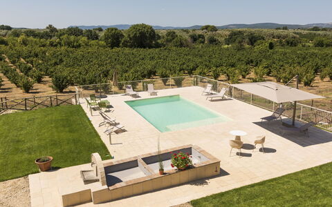 Lago di Vico 629: Piscina, Recurso, Mueble Para Exteriores, Inmuebles, Jardín, Paisajismo, Paraguas, Sombra, Sunlounger, Hacienda