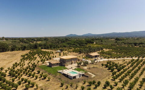 Lago di Vico 629: Llanura, Paisaje, El Terreno Del Lote, Inmuebles, Vista Panorámica, Fotografía Aérea, Campo, Plantación, Agricultura, Granja