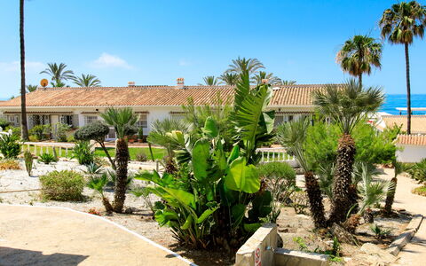 El Bungalow: Mueble, Diseño De Interiores, Silla, Mueble Para Exteriores, Material Natural, Sombra, Mesa Al Aire Libre, Diseño, Restaurante, Cocina Y Comedor Mesa