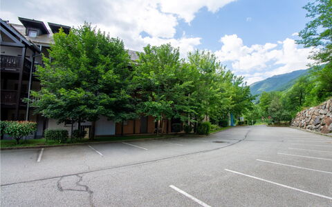 Ax-Les-Thermes 645: Árbol, Superficie De La Carretera, Rama, Asfalto, Entrada De Coches, Estacionamiento