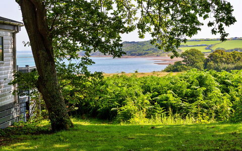Seascape: Verde, Naturaleza, Paisaje Natural, Vegetación, Verano, Arbusto, Paisaje, Pradera, Planta De La Comunidad