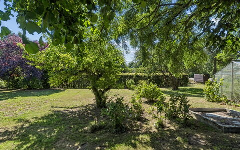 Helge - 10Km from the Sea: Hoja, Árbol, Verde, Rama, Vegetación, Arbusto, Planta De La Comunidad, Jardín, Cobertura Del Suelo, Plantas Leñosas