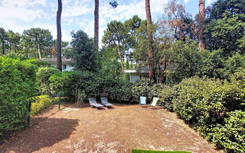 Beau Séjour: Arbusto, Jardín, Cobertura Del Suelo, Sombra, Césped, Patio Interior, Paisajismo, Cobertura, Yarda, Entrada De Coches