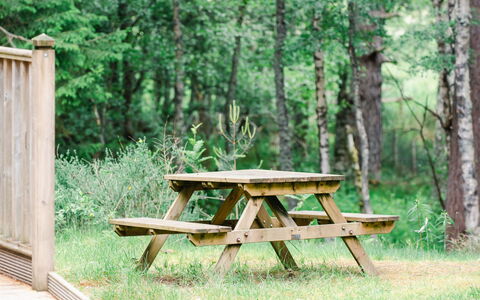 Alojamiento:&nbsp;Capercaillie Cabin 100.3