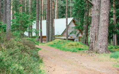 Alojamiento:&nbsp;Capercaillie Cabin 100.3