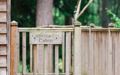 Alojamiento:&nbsp;Capercaillie Cabin 100.3