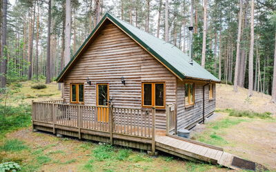 Alojamiento:&nbsp;Pine Marten Lodge 100.1