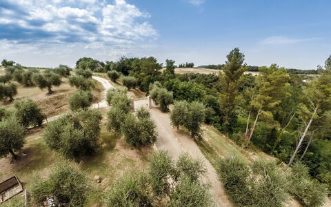 Villa Larino: Árbol, Vegetación, Paisaje Natural, Planta De La Comunidad, El Terreno Del Lote, Llanura, Sendero, Campo, Suelo