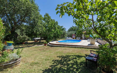 Helena: Árbol, Jardín, Sombra, Césped, Paisajismo, Patio Interior, Yarda, Inmuebles, Parque, Hacienda