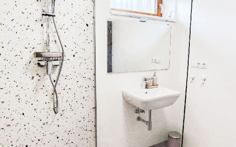 Horní Líšnice: Piso, Arreglo De Tubería, Suelo, Baño, Diseño De Interiores, Techo, Plomería, Lámpara, Alcachofa De La Ducha, Loseta