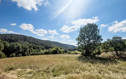 Horní Líšnice: Cielo, Azul, Tiempo De Día, Hierba, Verde, Entorno Natural, Naturaleza, Nube, Paisaje Natural, Vegetación