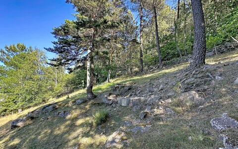 La Bergerie de Portes: Árbol, Hoja, Vegetación, Desierto, Planta De La Comunidad, Bosque, Geología, Reserva Natural, Alerce