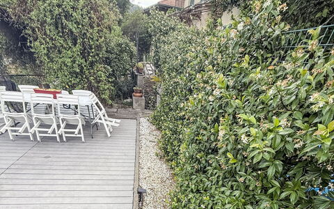 Colazza 100: Arbusto, Jardín, Primavera, Sombra, Paisajismo, Cerca, Jardín Botánico, Inicio De Esgrima, Cobertura