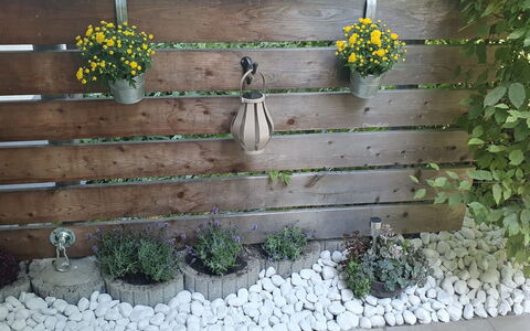 Bergzeit: Maceta, Jardín, Planta De Casa, Tablón, Floristas, Cerca, Inicio De Esgrima, Patio Interior, Madera Dura, Hierba