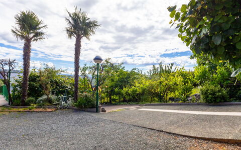 Duema: Arbusto, Jardín, Barrio Residencial, Planta De La Comunidad, El Terreno Del Lote, Cobertura Del Suelo, Paisajismo, Patio Interior, Yarda