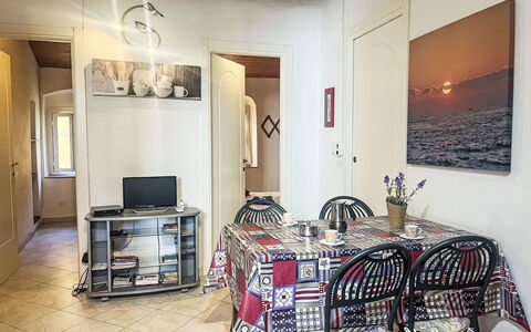 Lily: Arbusto, Jardín, Barrio Residencial, Planta De La Comunidad, El Terreno Del Lote, Cobertura Del Suelo, Paisajismo, Patio Interior, Yarda