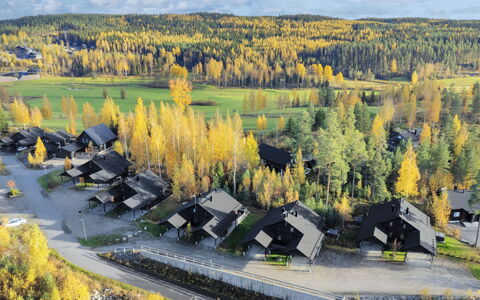 Golfarinkunnas 9D: Paisaje, Área Rural, Cabaña, Pueblo, Alerce, Otoño, Fotografía Aérea, Familia De Pino