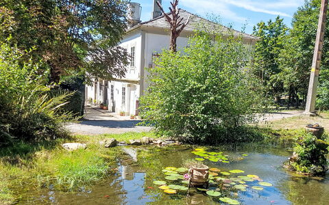 Pizarra: Arbusto, Corriente De Agua, Reflexión, Estanque, Jardín, Inmuebles, Zona De Ribera