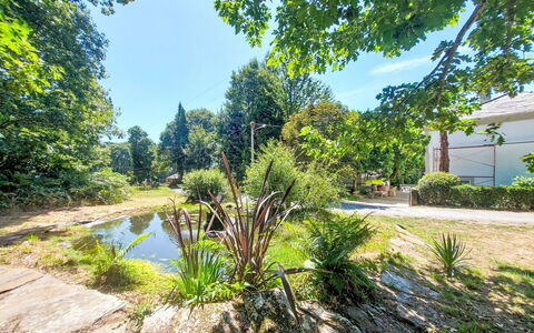 Pizarra: Vegetación, Arbusto, Jardín, Cobertura Del Suelo, Luz De Sol, Plantas Leñosas, Estanque, Sombra, Paisajismo, Jardín Botánico