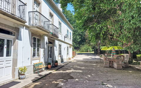 Pizarra: Árbol, Rama, Yarda, Entrada De Coches