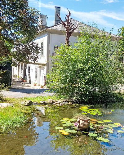 Pizarra: Arbusto, Corriente De Agua, Reflexión, Estanque, Jardín, Inmuebles, Zona De Ribera