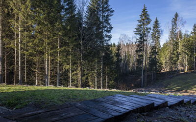 Valera Vita Forest