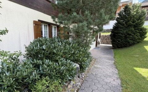 Lenk 755: Arbusto, Jardín, Cobertura Del Suelo, Paisajismo, Pasarela, Entrada De Coches, Yarda, Cobertura, Hojas Perennes