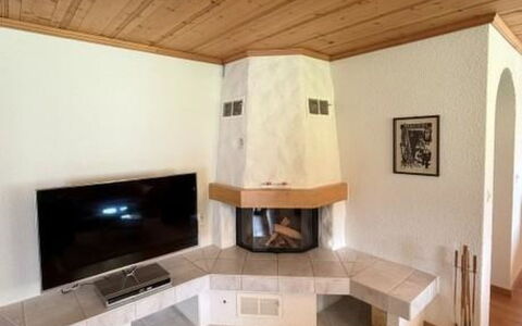 Lenk 755: Diseño De Interiores, Madera, Piso, Suelo, Mueble, Hogar, Techo, Habitación, Sala, Televisión