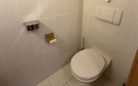 Lenk 755: Asiento Del Baño, Baño, Pared, Baño, Piso, Suelo, Arreglo De Tubería, Loseta, Diseño De Interiores, Plomería