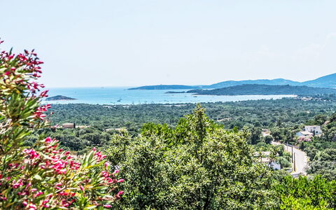 Sainte Lucie Porto Vecchio 650: Balcón, Manchas De Madera, Planta De Casa, Mueble Para Exteriores, Maceta