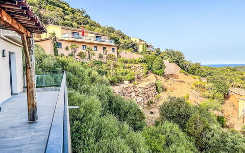 Sainte Lucie Porto Vecchio 650: Balcón, Manchas De Madera, Planta De Casa, Mueble Para Exteriores, Maceta