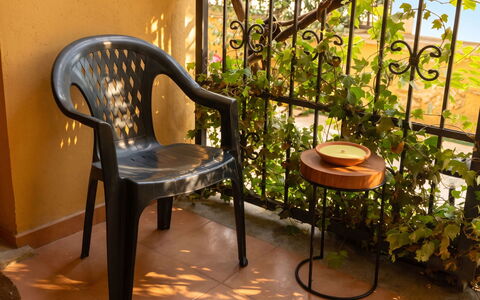 City and Coast: Balcón, Manchas De Madera, Planta De Casa, Mueble Para Exteriores, Maceta