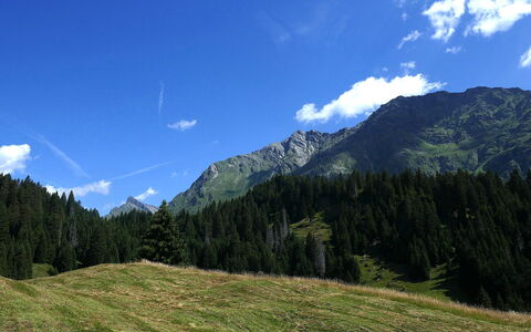 Nido delle Alpi: Cielo, Montaña, Azul, Accidentes Geográficos Montañosas, Verde, Naturaleza, Entorno Natural, Colina, Paisaje Natural, Nube