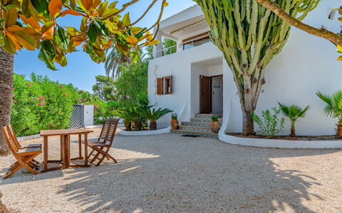 Can Nura: Plantas Leñosas, Inmuebles, Sombra, Paisajismo, Jardín, Zona Tropical, Recurso, Hacienda, Villa