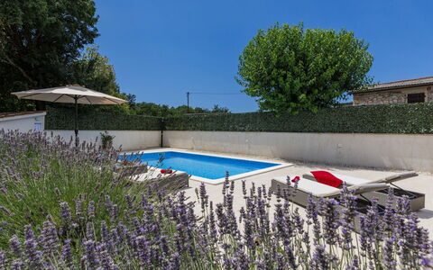 Trošti: Arbusto, Jardín, Piscina, Paisajismo, Maceta, Patio Interior, Yarda, Mueble Para Exteriores, Patio