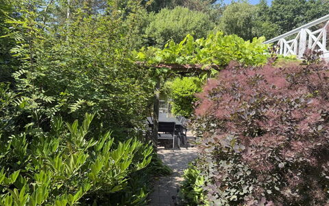 Lonneke - from the Sea: Arbusto, Planta De La Comunidad, Jardín, Plantas Leñosas, Paisajismo, Patio Interior, Jardín Botánico, Hojas Perennes, Mueble Para Exteriores