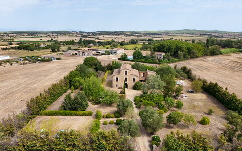 Mas Nualart: Hierba, Árbol, Paisaje, Llanura, Área Rural, El Terreno Del Lote, Pradera, Campo
