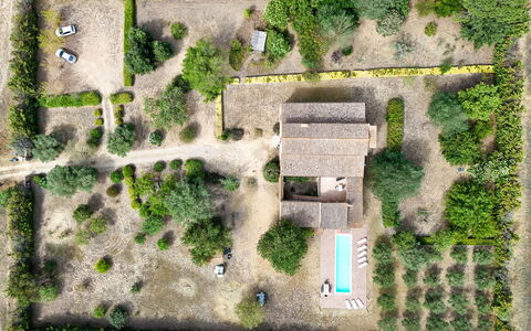 Mas Nualart: Arbusto, Paisaje, El Terreno Del Lote, Casa, Inmuebles, Área Rural, Jardín, Cabaña, Plantación, Paisajismo