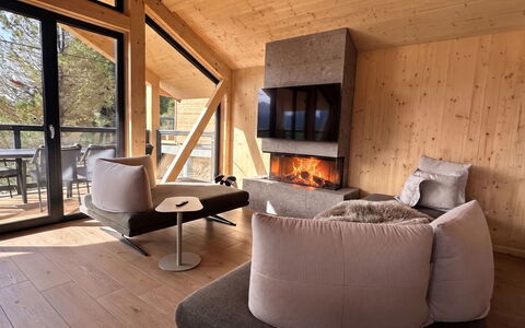 02 Nth050 18A Sup Chalet mit Sauna und Hot Tub 2 e: Madera, Mueble, Madera Dura, Suelos De Madera, Sala, Habitación, Cabaña, Cuarto De Troncos, Manchas De Madera, Silla
