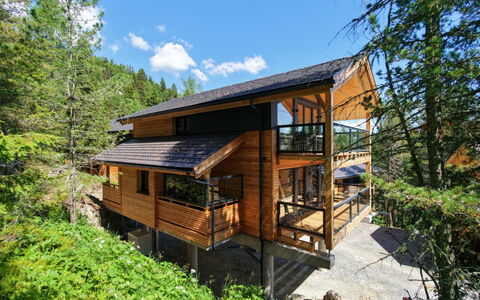 02 Nth055 18F Sup Chalet mit Sauna und Hot Tub 2 e: Madera, Casa, Cabaña, Madera Dura, Cuarto De Troncos, Material Natural, Manchas De Madera, Bosque, Tablón, Maderas