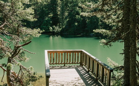 02 Nth053 18D Sup Chalet mit Sauna und Hot Tub 2 e: Naturaleza, Árbol, Entorno Natural, Madera, Bosque, Desierto, El Maletero, Reserva Natural, Bosque