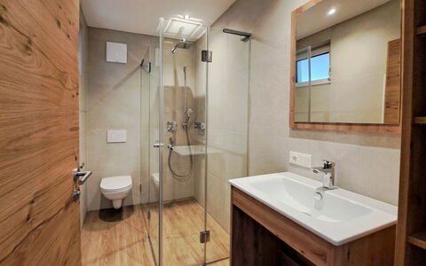 Auffach 602: Piso, Madera, Suelo, Diseño De Interiores, Arreglo De Tubería, Baño, Habitación, Plomería, Techo, Suelos De Madera