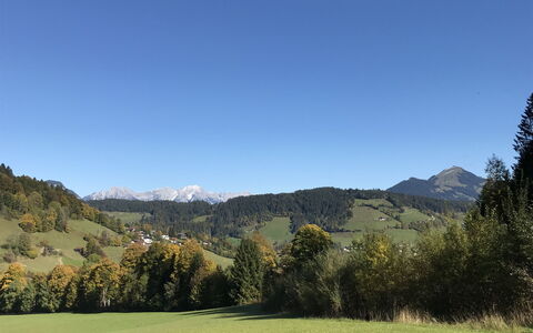 Auffach 602: Montaña, Accidentes Geográficos Montañosas, Colina, Hierba, Árbol, Verde, Naturaleza, Cordillera, Paisaje Natural, Vegetación